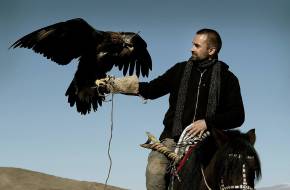 Állatok munkában: a vadászsastól az aknakereső patkányig